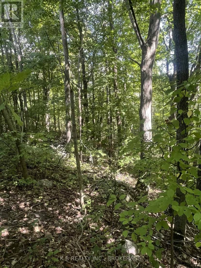 15598 County Road 2 Road — photo 21 of 21