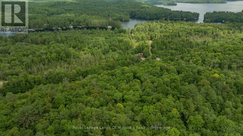 2750 Muskoka 117 Road, Lake of Bays, photo 4