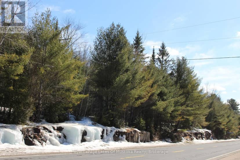 2750 Muskoka 117 Road, Lake of Bays, photo 7