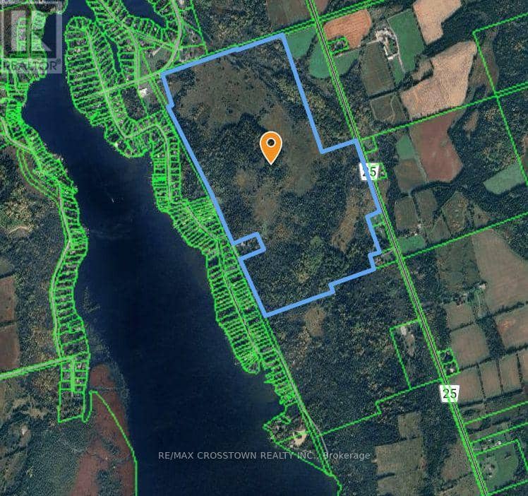 808 City Road Highway 121 Highway, Kawartha Lakes, photo 7