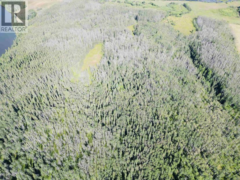 DL 941 SHAEFFER LAKE, Burns Lake, photo 3