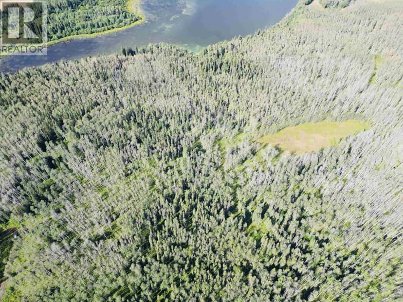 DL 941 SHAEFFER LAKE, Burns Lake, photo 4