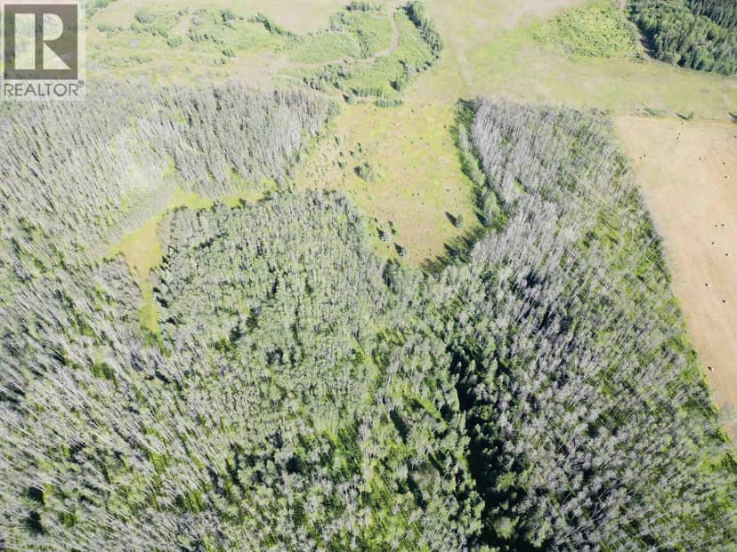 DL 941 SHAEFFER LAKE, Burns Lake, photo 5