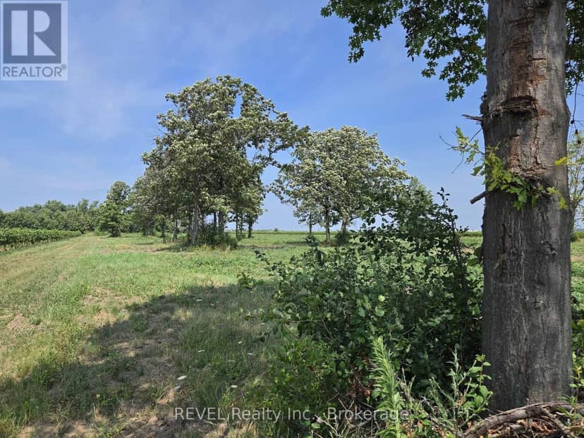 240 Eastchester Avenue — photo 13 of 16