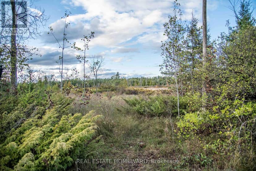254-256 McGuire Beach Road, Kawartha Lakes
