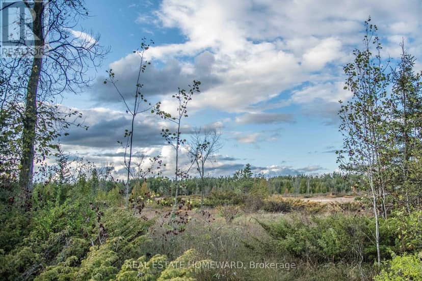 254-256 McGuire Beach Road, Kawartha Lakes, photo 4