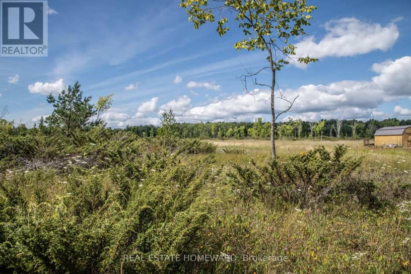 254-256 McGuire Beach Road, Kawartha Lakes, photo 6