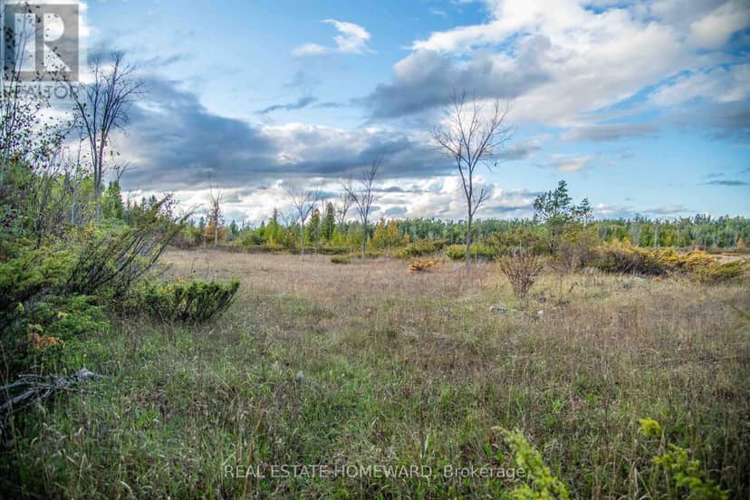 254-256 McGuire Beach Road, Kawartha Lakes, photo 7