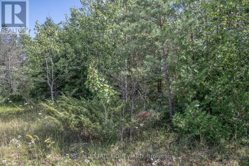 254-256 McGuire Beach Road — photo 9 of 23