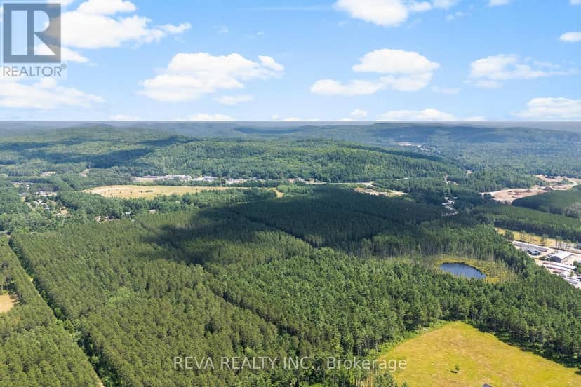 0 Y Road Part 1, Hastings Highlands, photo 7