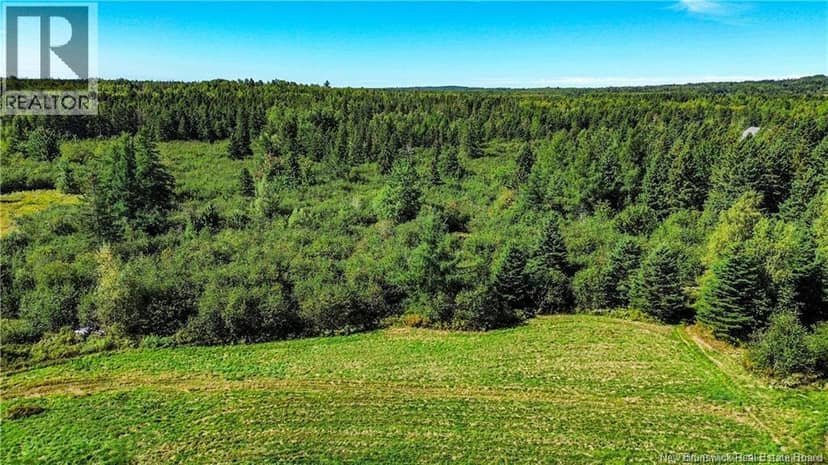 Lot Zack Road, Lutes Mountain, photo 5
