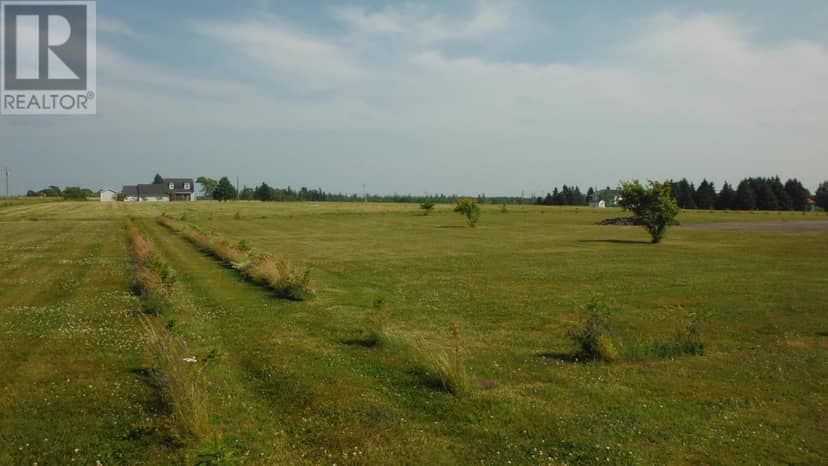 Lot # 5 Cable Head Air Park Road, Cable Head West, photo 6