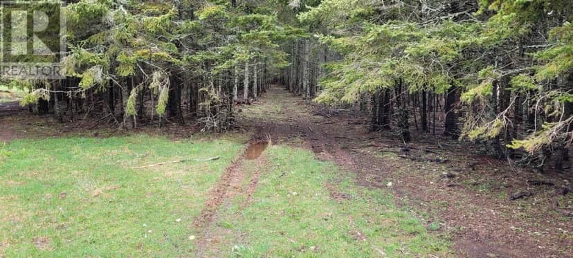 Acreage New Argyle Road — photo 6 of 8