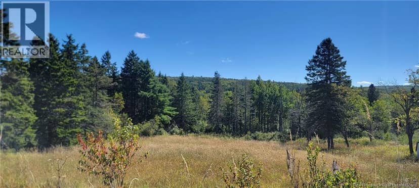 Lot 01-1 Route 121 — photo 2 of 8