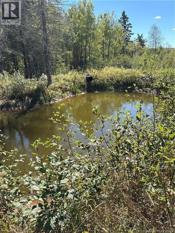 Lot 01-1 Route 121 — photo 4 of 8