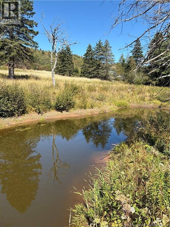 Lot 01-1 Route 121 — photo 6 of 8