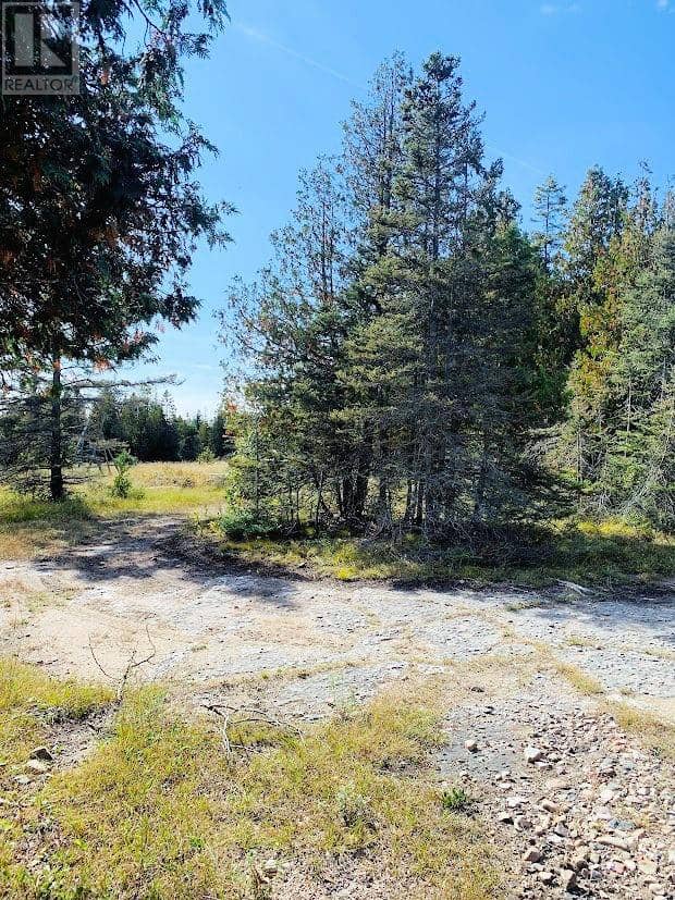 356 Cedar Tree Trail — photo 12 of 31