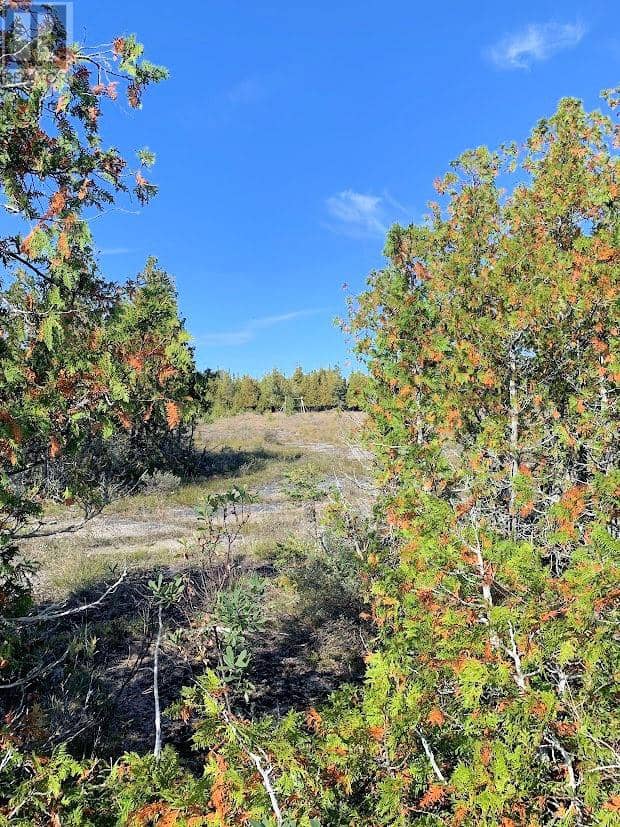 356 Cedar Tree Trail, Silver Water, Manitoulin Island, photo 7