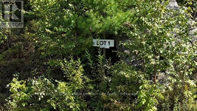 Lot 1 Fox Run Road, Temagami, photo 2