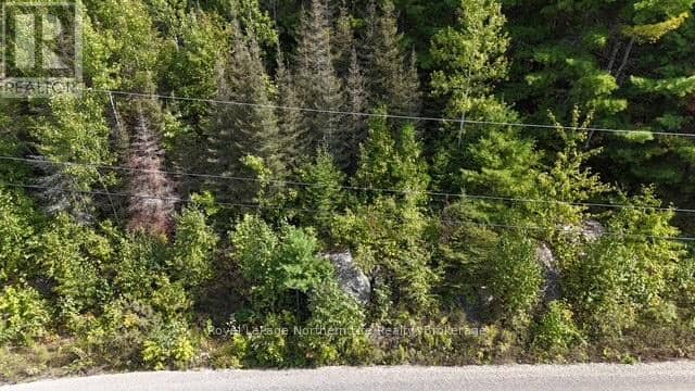 Lot 1 Fox Run Road, Temagami, photo 3