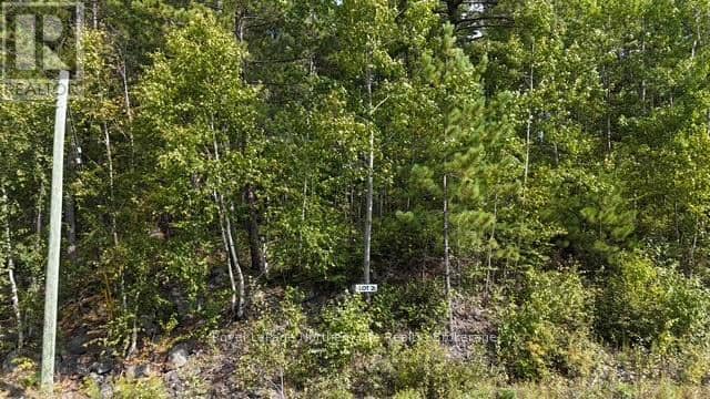 Lot 2 Fox Run Drive, Temagami, photo 2