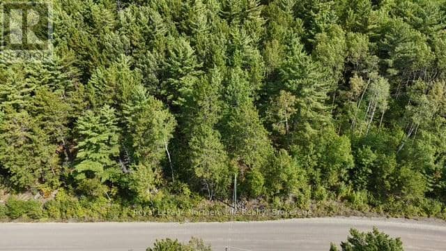 Lot 2 Fox Run Drive, Temagami, photo 5