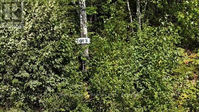Lot 3 Fox Run Drive, Temagami, photo 2