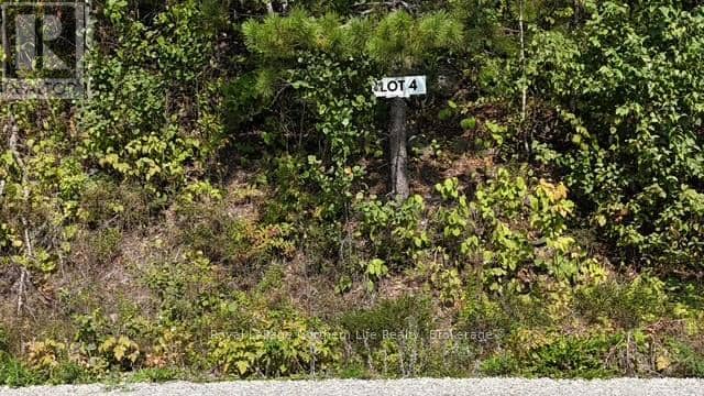 Lot 4 Fox Run Drive, Temagami, photo 2