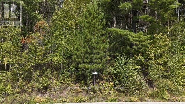 Lot 4 Fox Run Drive, Temagami, photo 3