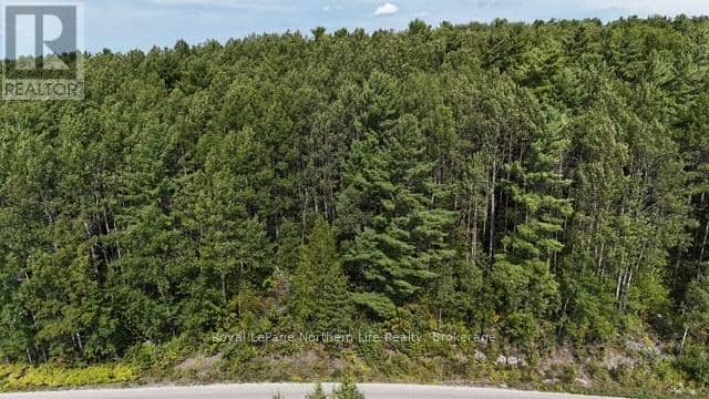 Lot 4 Fox Run Drive, Temagami, photo 4