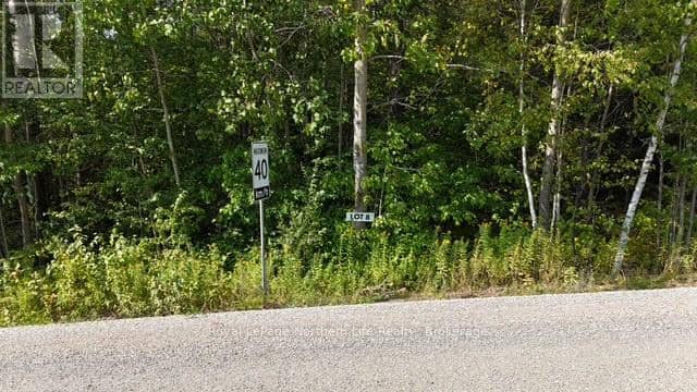 Lot 8 Fox Run Drive, Temagami, photo 2