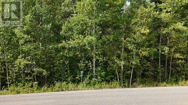 Lot 8 Fox Run Drive, Temagami, photo 3