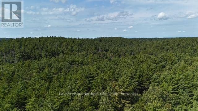 Lot 8 Fox Run Drive, Temagami, photo 5