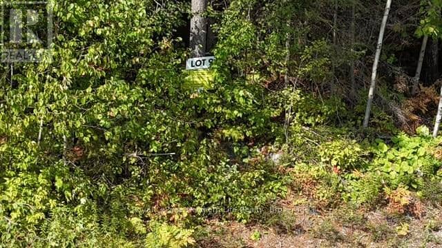 Lot 9 Fox Run Drive — photo 2 of 5