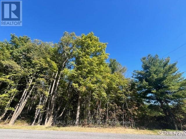 Pt 33A & Pt 33B Autumn Road N, Trent Hills, photo 7