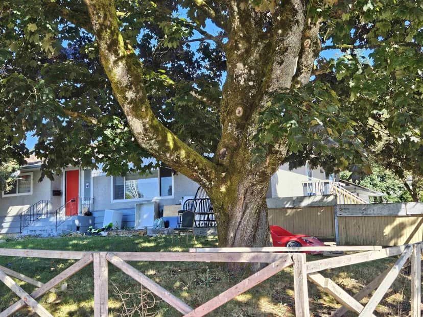10564 137A Street, Surrey, photo 2