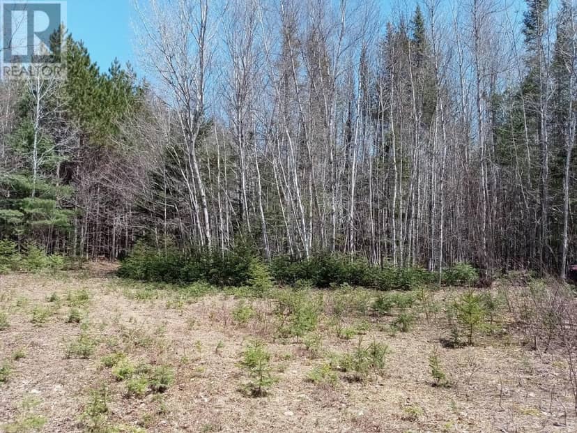 acreage — photo 2 of 4