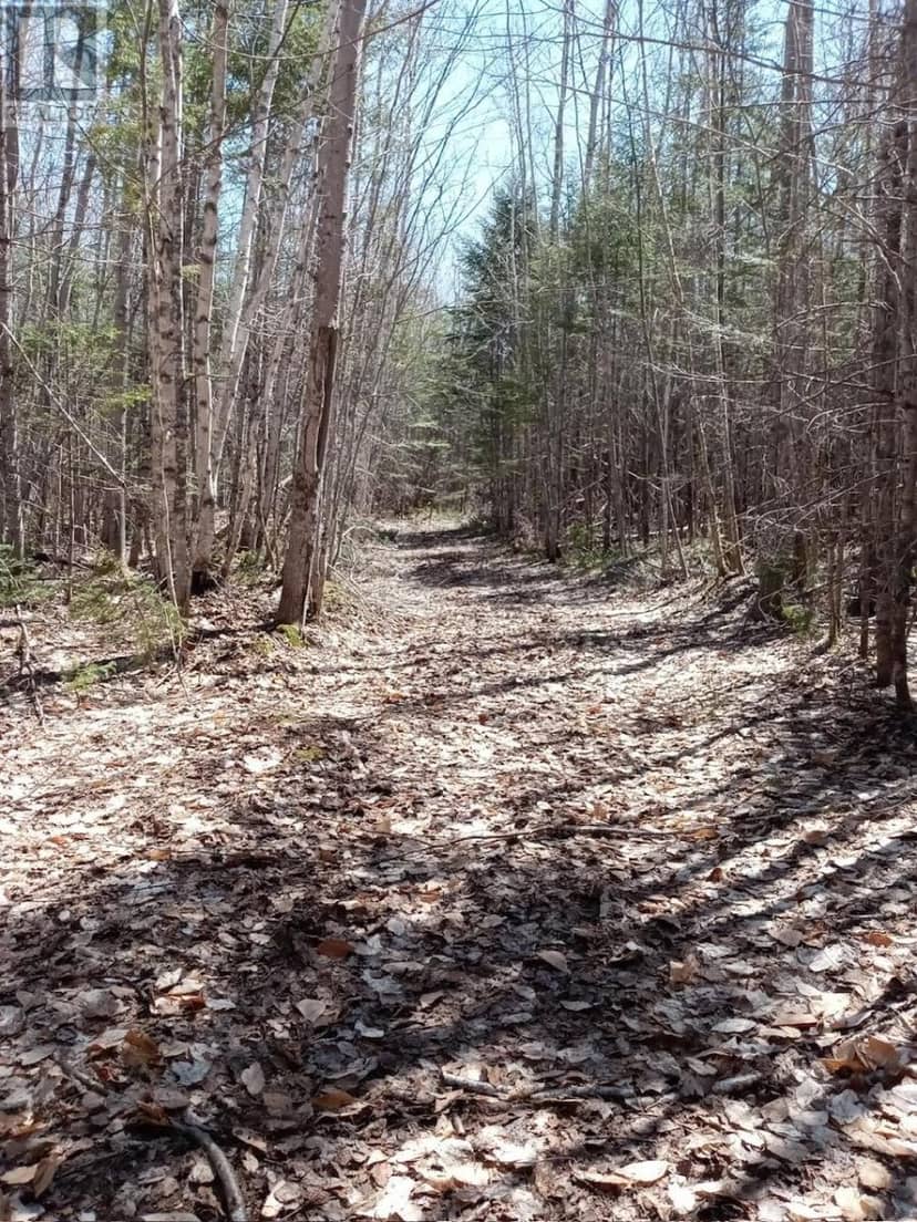 acreage — photo 3 of 4