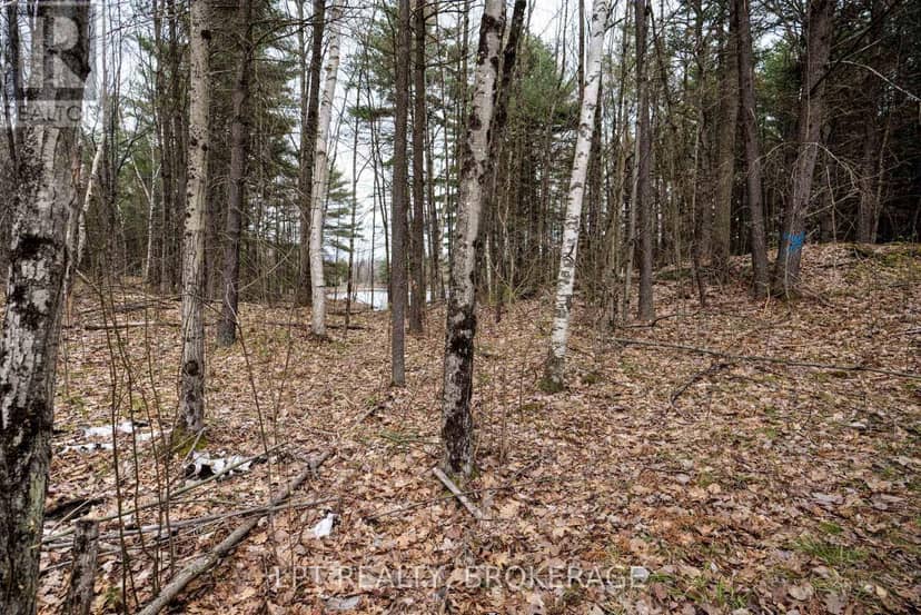 0 Old Sulphide Road — photo 25 of 40