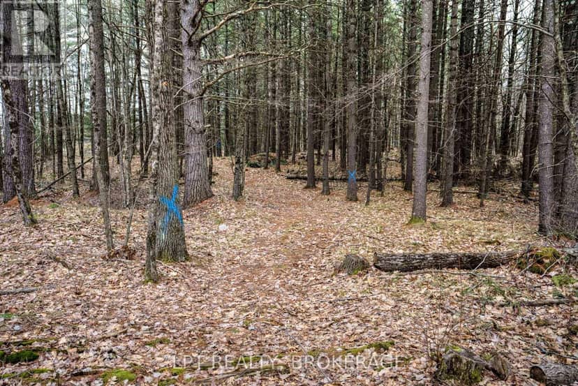0 Old Sulphide Road — photo 27 of 40