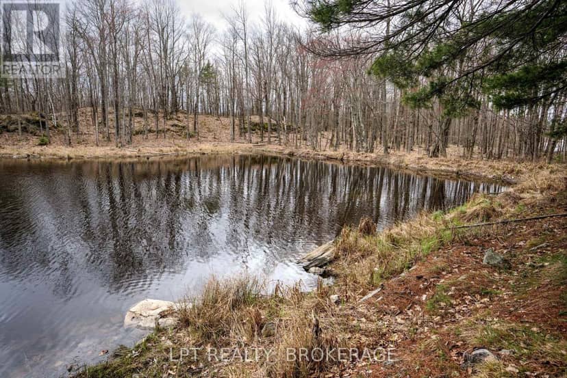 0 Old Sulphide Road — photo 5 of 40
