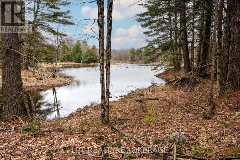 0 Old Sulphide Road — photo 29 of 40