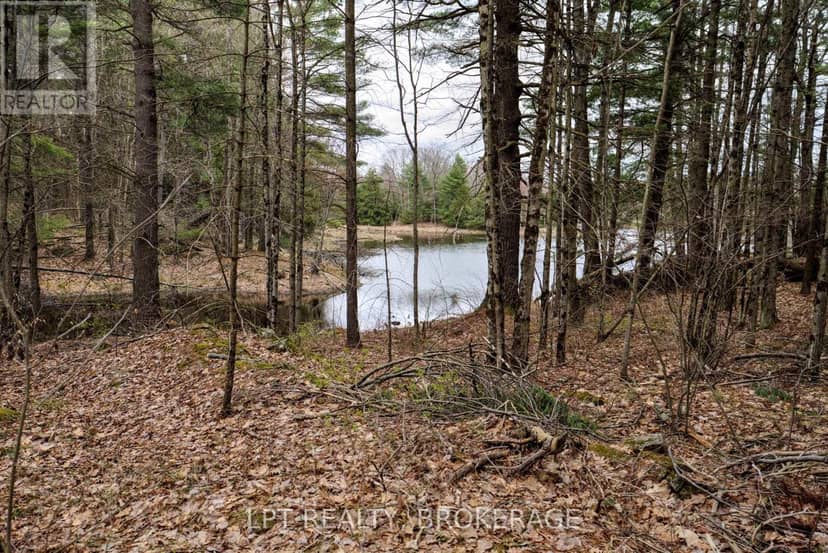 0 Old Sulphide Road — photo 28 of 40