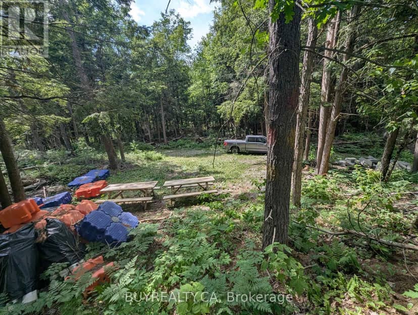 2318 Sherwood Forest Lane — photo 10 of 24