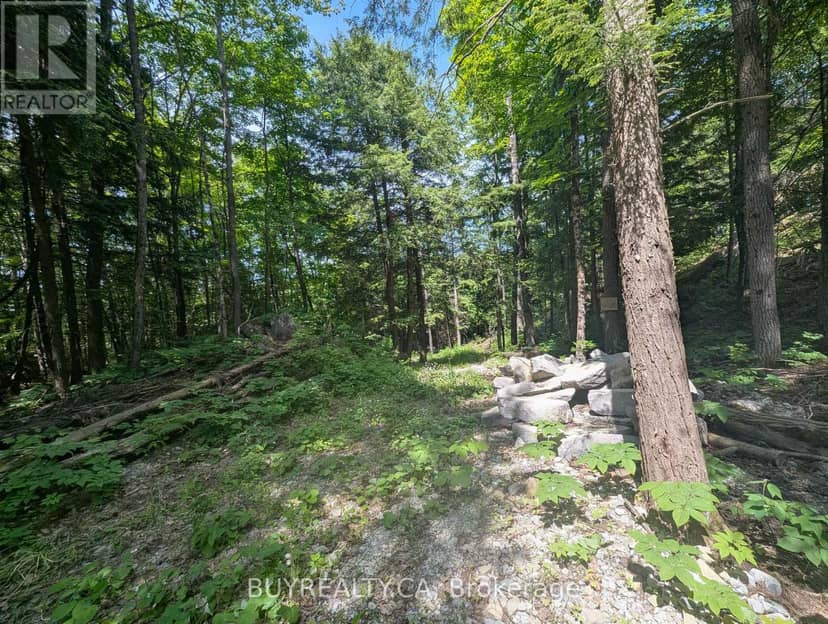 2318 Sherwood Forest Lane — photo 11 of 24