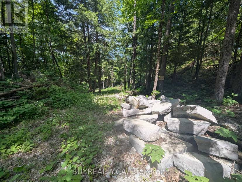 2318 Sherwood Forest Lane — photo 12 of 24