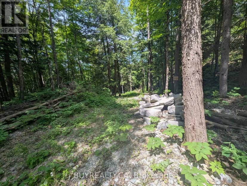 2318 Sherwood Forest Lane — photo 13 of 24