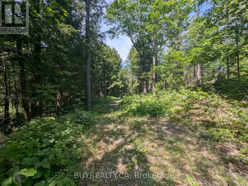 2318 Sherwood Forest Lane — photo 14 of 24