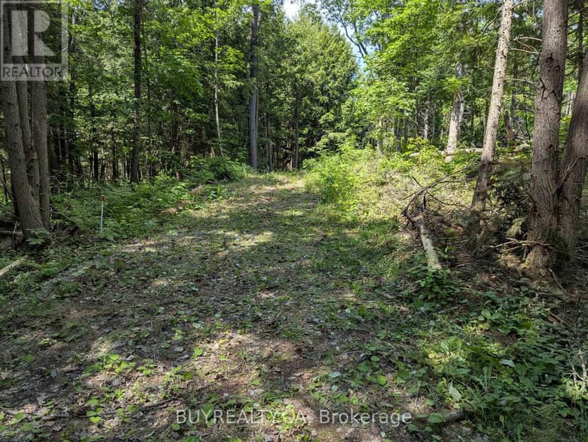 2318 Sherwood Forest Lane — photo 2 of 24