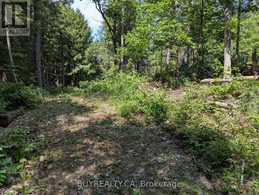 2318 Sherwood Forest Lane — photo 3 of 24